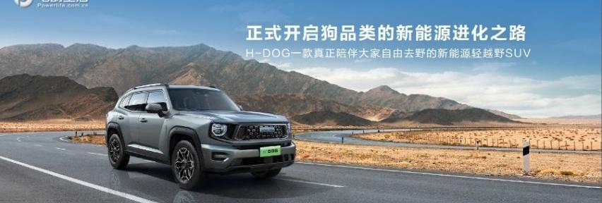 哈弗,长城,比亚迪,东风,理念
