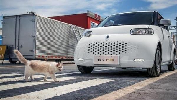 欧拉,长城,欧拉黑猫