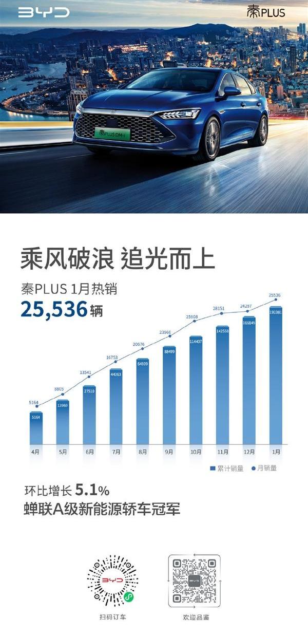 比亚迪,汉,海豚,MINI