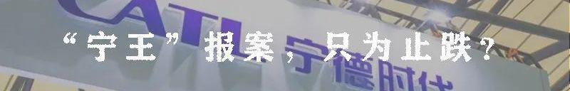 大众,红杉,特斯拉,蔚来,小鹏