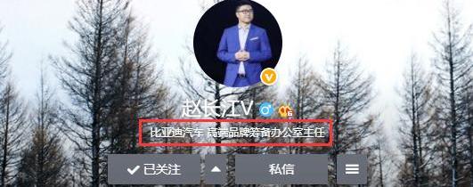 腾势,比亚迪