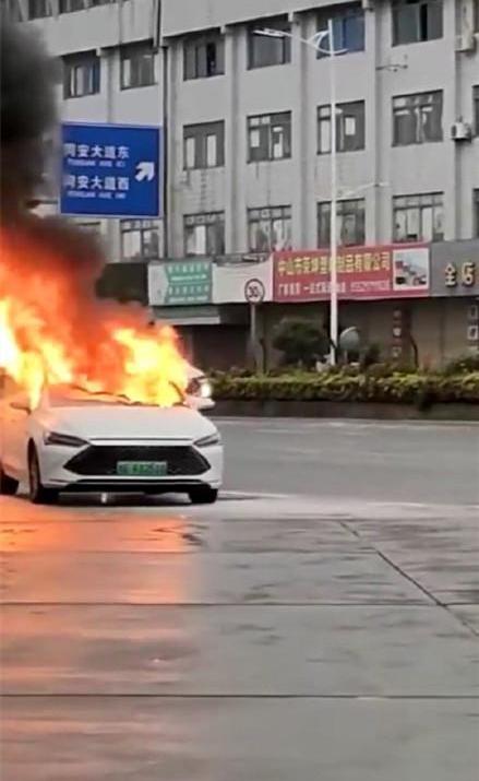 比亚迪