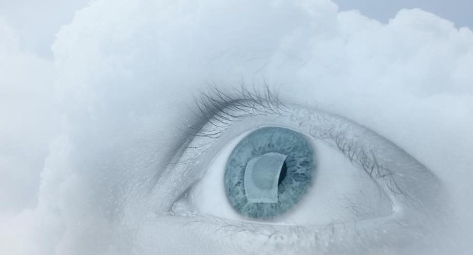 特斯拉,大众,奔驰,比亚迪,长城