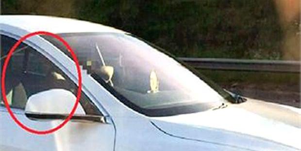 特斯拉,发现,本田,Model S