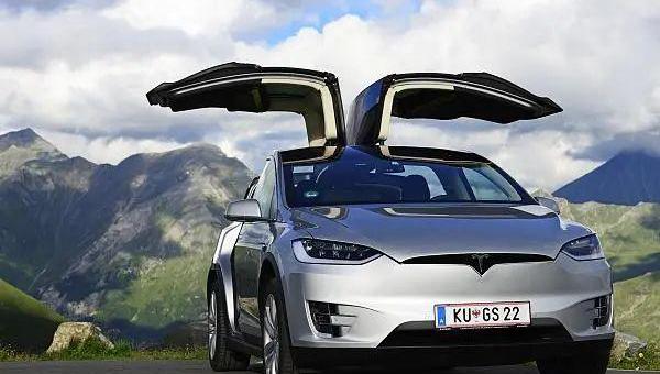 特斯拉,世纪,海豚