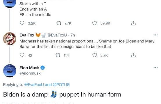 福特,特斯拉,炮,Mustang,Model 3