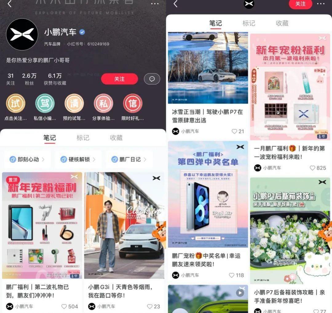 蔚来,小鹏,特斯拉,比亚迪,理想汽车