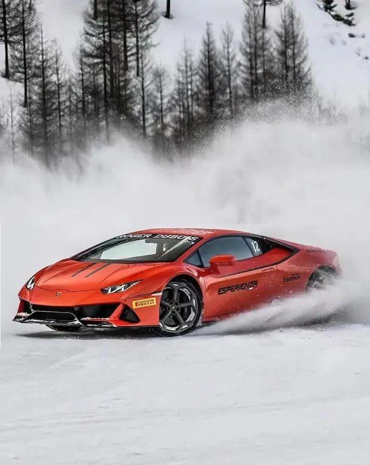 劳斯莱斯,保时捷,宾利,兰博基尼,奔驰