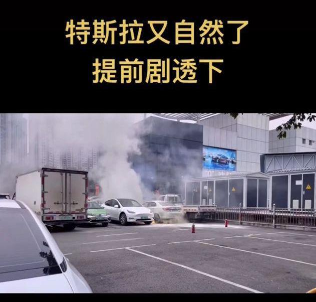 特斯拉,比亚迪,北京