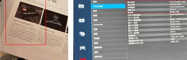 欧拉,欧拉好猫,长城