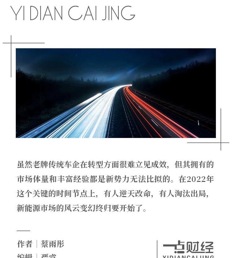 长城,欧拉,比亚迪,蔚来,埃安