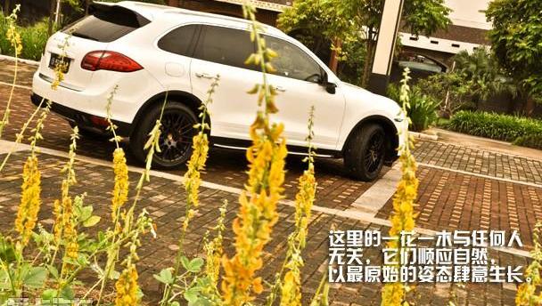 保时捷,Macan,仰望