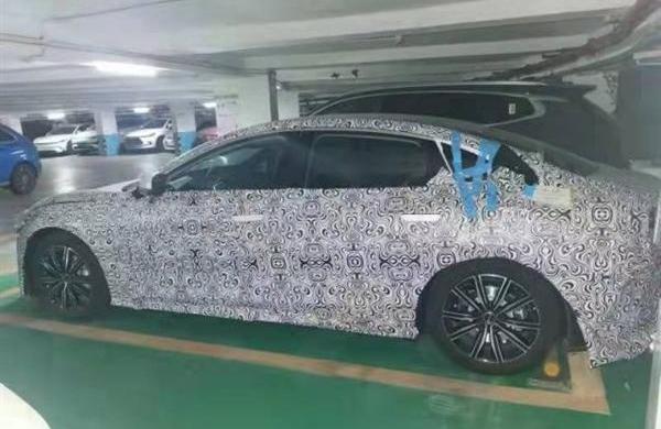 比亚迪,海豹,特斯拉,Model 3,海豚