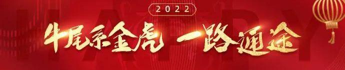 迈腾,亚洲龙,一汽,大众,丰田