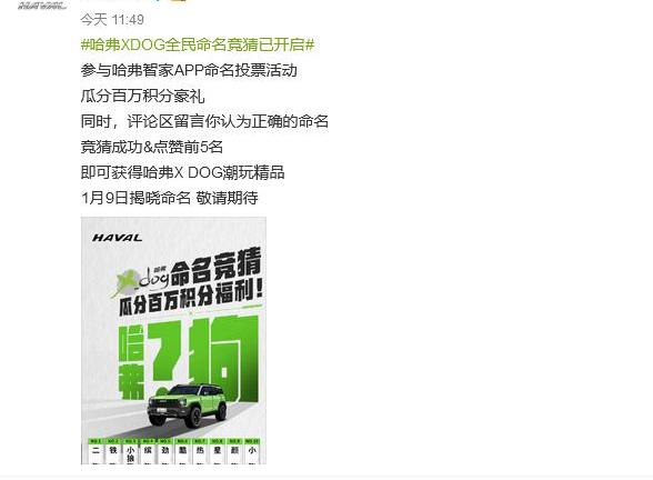 哈弗,坦克,长城,哈弗大狗,坦克300