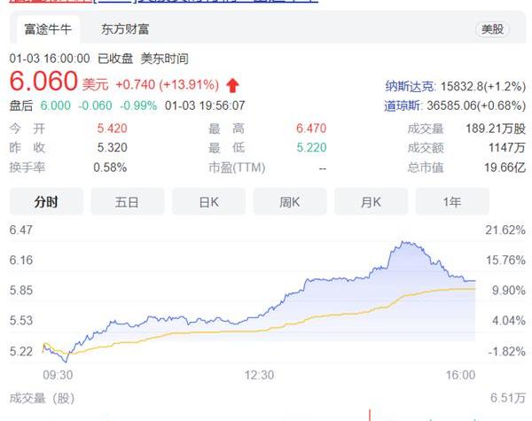 特斯拉,DS,福特,蔚来