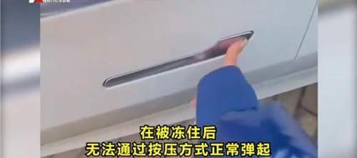 特斯拉,比亚迪,路虎