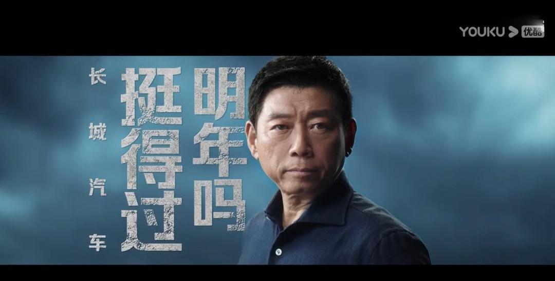 长城,哈弗,特斯拉,欧拉,Model Y