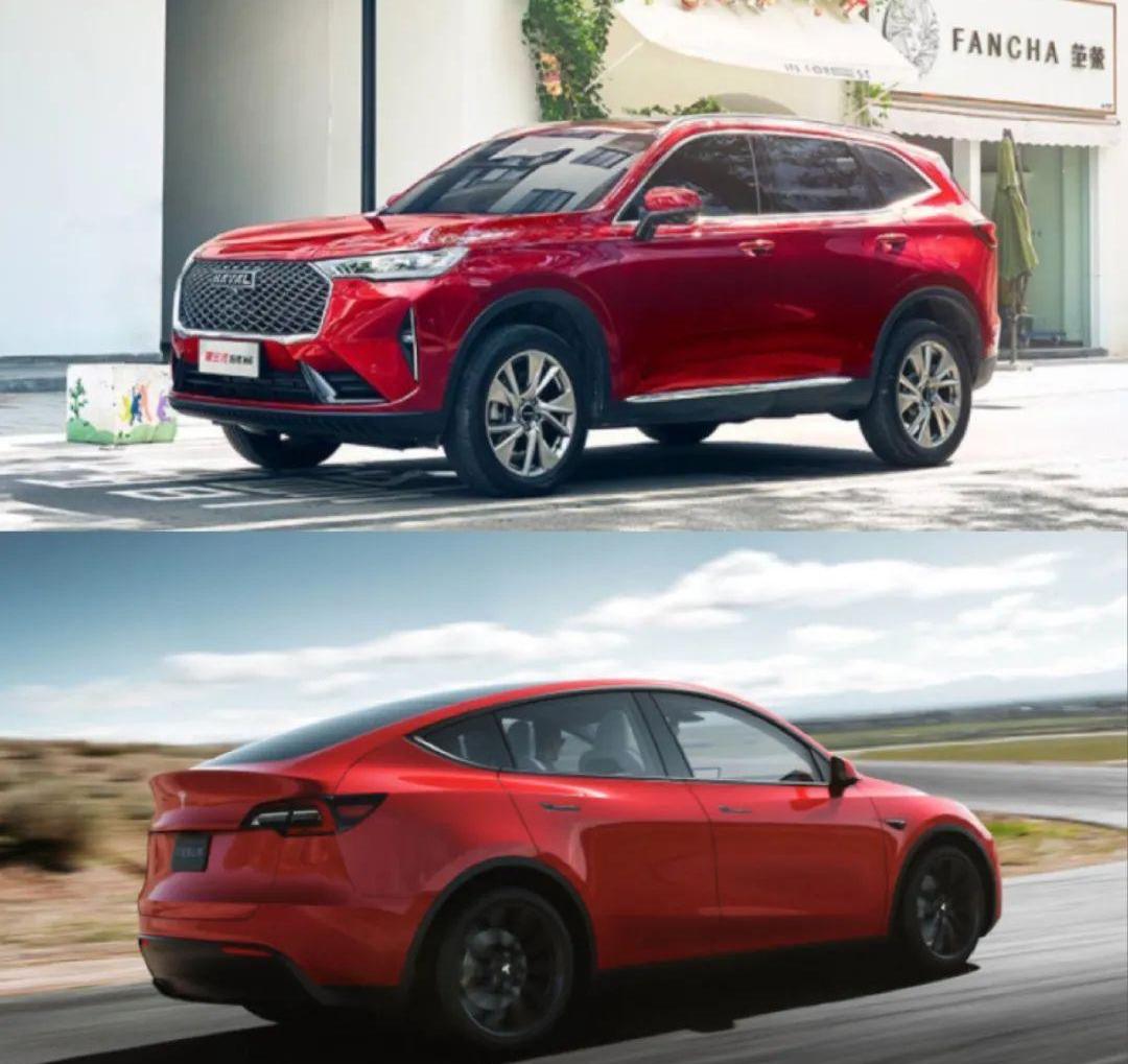 长城,哈弗,特斯拉,欧拉,Model Y