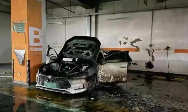 蔚来,小鹏,理想汽车,比亚迪,特斯拉