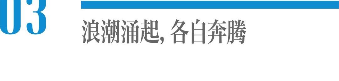 小鹏,蔚来,理想ONE,特斯拉,大众