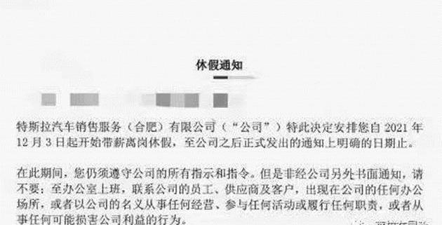 特斯拉,发现,Model Y