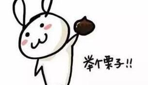 威朗,昂科拉,朗逸,荣威,雪佛兰