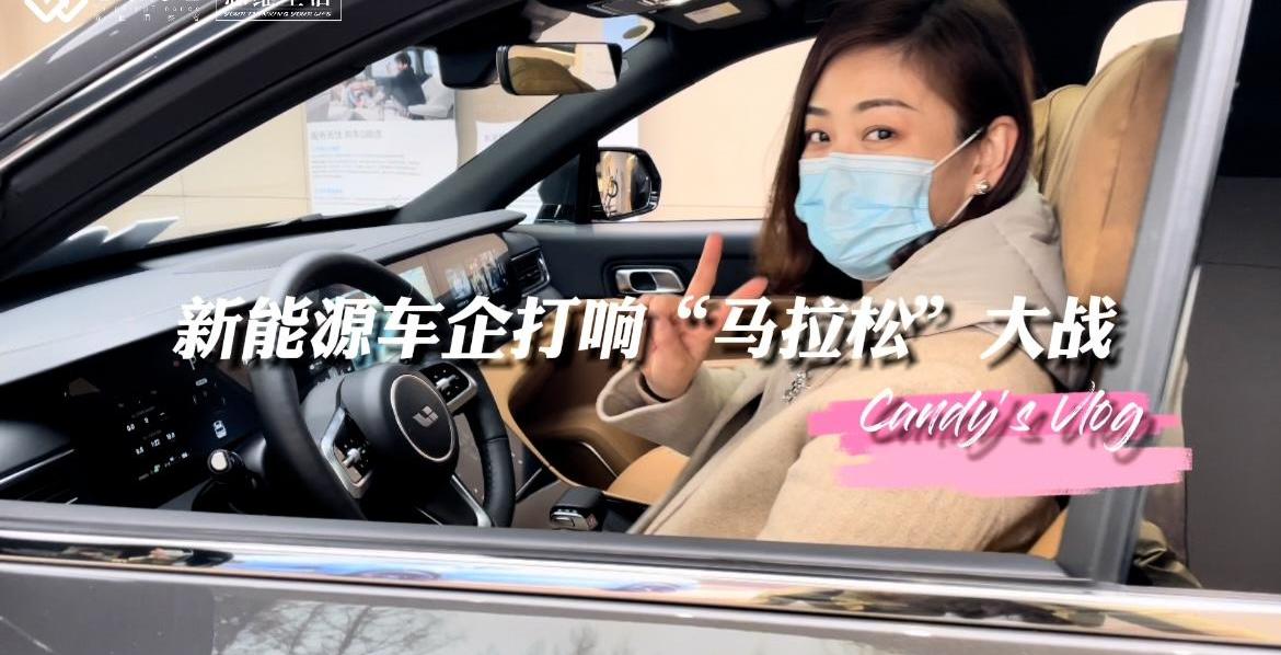 蔚来,理想汽车,比亚迪,哪吒汽车,特斯拉