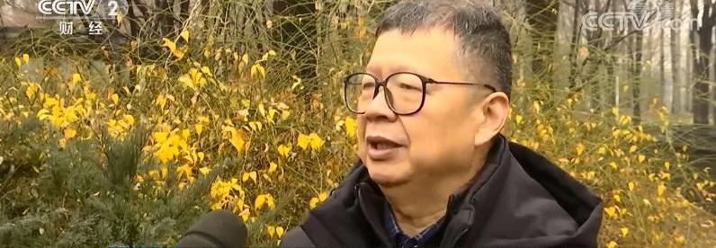 北京,发现,金龙