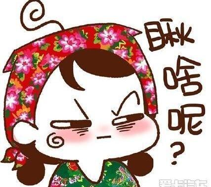 别克,威朗,昂科拉,凯越,君越