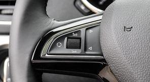 斯柯达,大众,DS,缤智,昂科拉