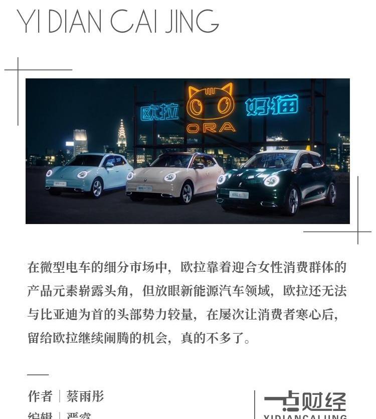 欧拉,长城,欧拉好猫,大众,比亚迪