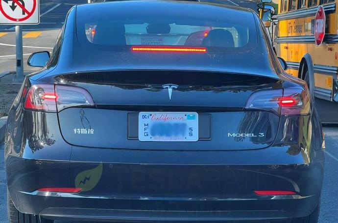 特斯拉,Model 3,Model Y