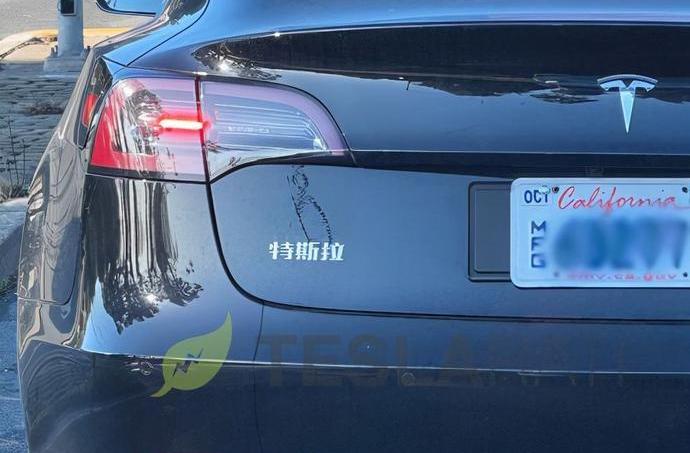 特斯拉,Model 3,Model Y