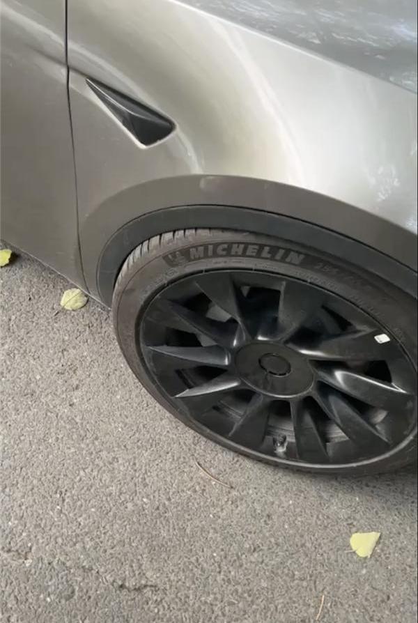 特斯拉,Model Y,Model 3