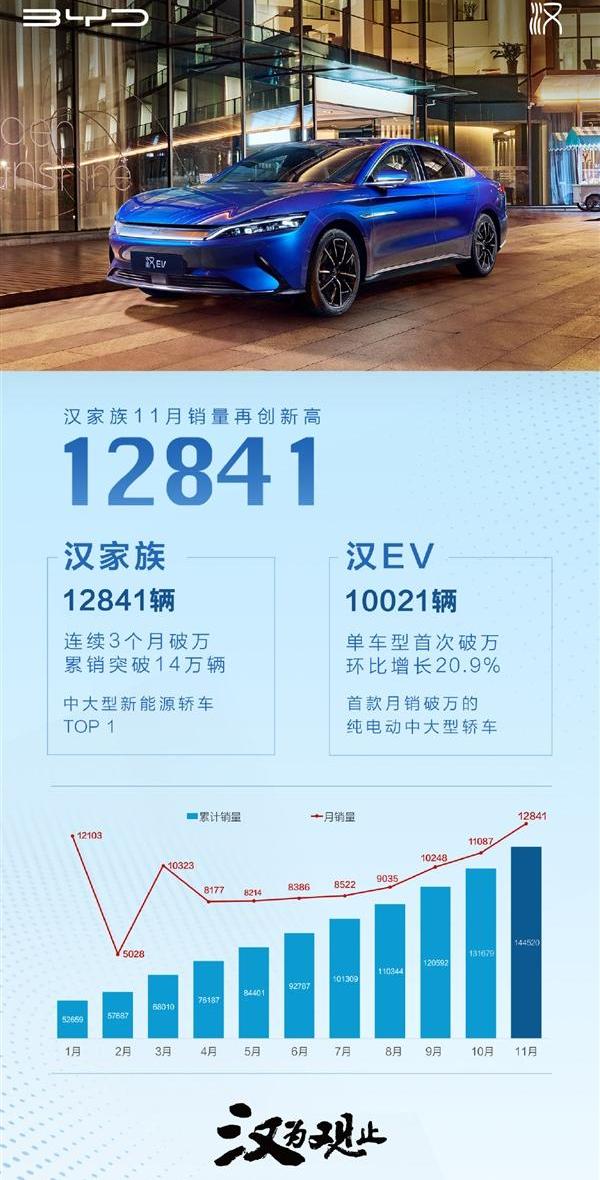 汉,比亚迪