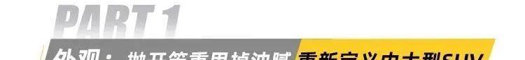 领克,领克09