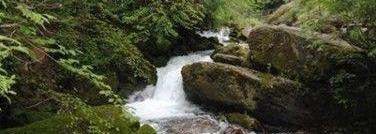 别克,昂科拉,汉,发现