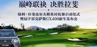 雷克萨斯,高尔夫,DS,雷克萨斯LX,雷克萨斯GX