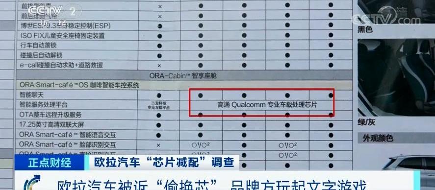 欧拉,欧拉好猫,长城,发现