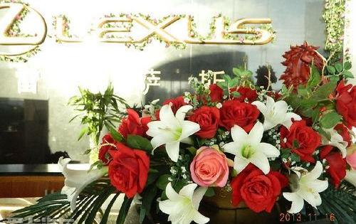 雷克萨斯,雷克萨斯GX,DS