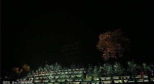 别克,昂科威,DS,昂科拉