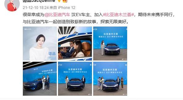 汉,比亚迪