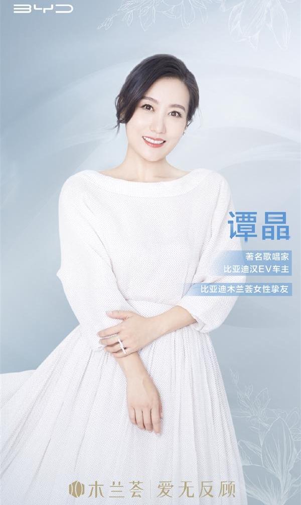 汉,比亚迪
