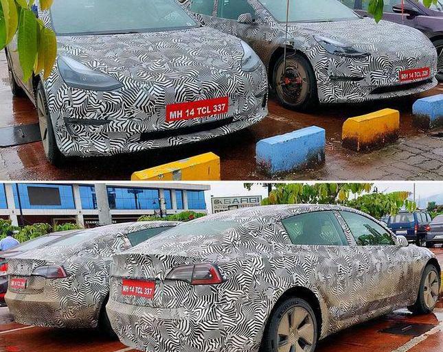 特斯拉,Model 3,Model Y