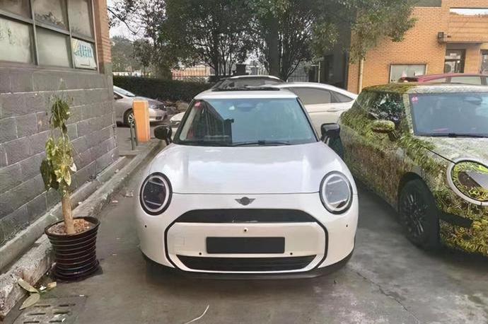 MINI,宝马,长城,欧拉好猫,欧拉