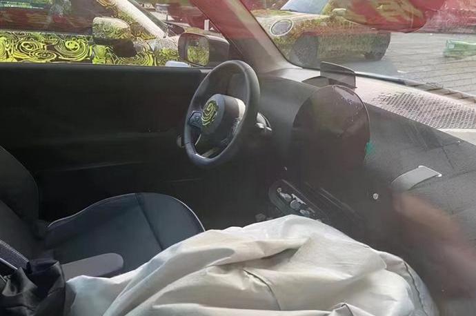 MINI,宝马,长城,欧拉好猫,欧拉