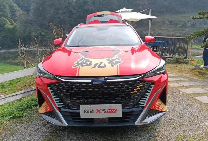 鲸,昂扬,飞驰,卫士,现代