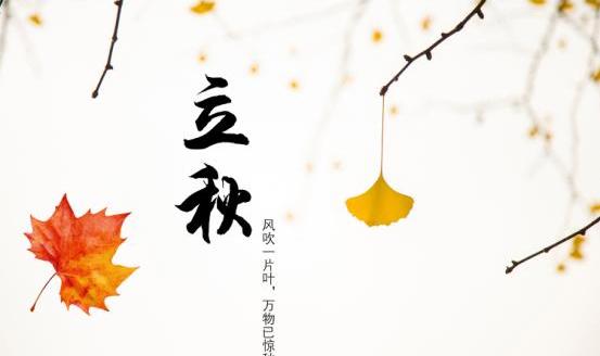 撼路者,福特,昂扬