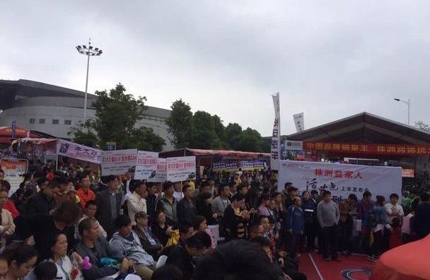 众泰,魔方,红旗,理念,昂扬